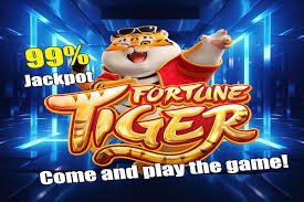 vip slot platform sports and casino entertainment overview